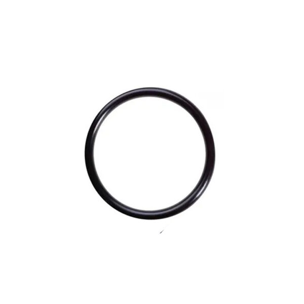 TERMOTANQUE O"RING DE RESISTENCIA